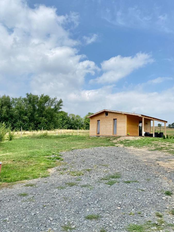 Domek W Gorach Izerskich 4 I 6 Osobowy, Agroturystyka, Zywe Zwierzeta, W Pelni Wyposazone, Plac Zabaw Dla Dzieci, Ognisko Z Kijkami I Rusztem, Ogrzewanie I Klimatyzacja, Latem Basen Mirsk Exteriör bild