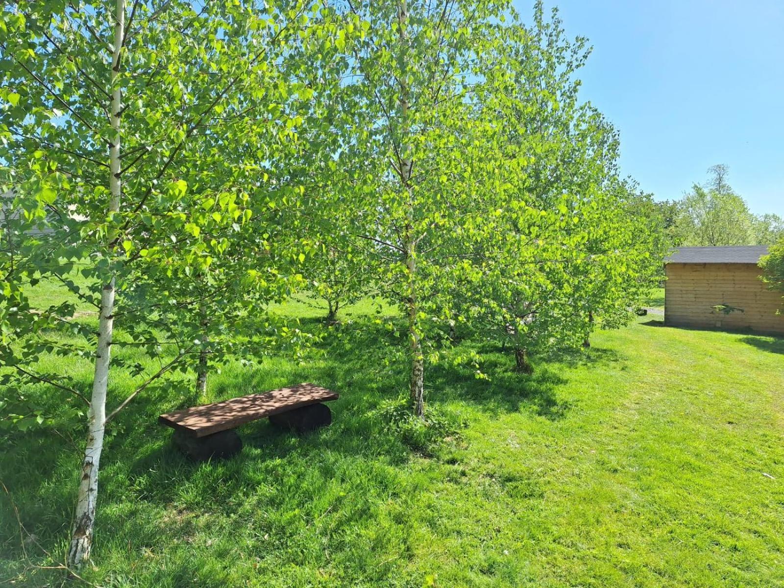 Domek W Gorach Izerskich 4 I 6 Osobowy, Agroturystyka, Zywe Zwierzeta, W Pelni Wyposazone, Plac Zabaw Dla Dzieci, Ognisko Z Kijkami I Rusztem, Ogrzewanie I Klimatyzacja, Latem Basen Mirsk Exteriör bild